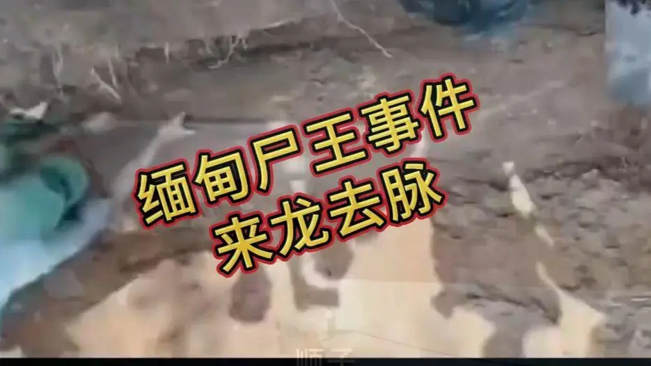 在线观看《缅甸僵尸出土事件视频》完整版资源下载 - 诡异真相解密高清无删减全程录像 免费播放爆火视频